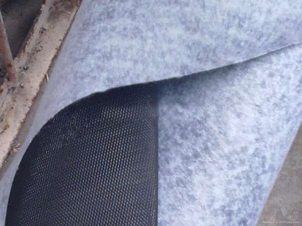 QQDƬ20140716151435.jpg